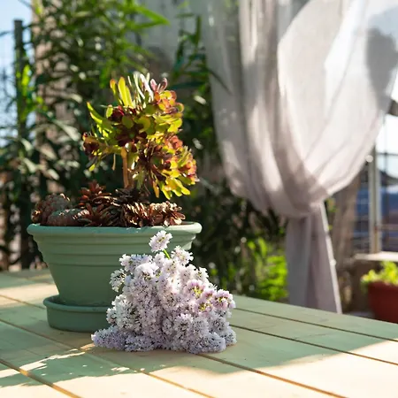 Casamariatoroni Appartement Toroni