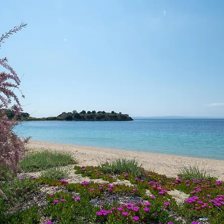 Apartman Casamariatoroni *