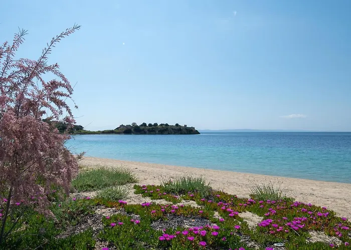 Appartement Casamariatoroni *