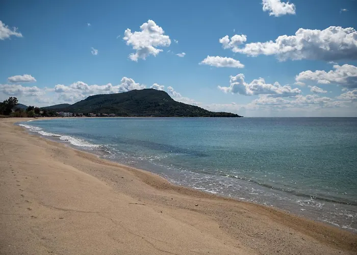 Casamariatoroni Toroni